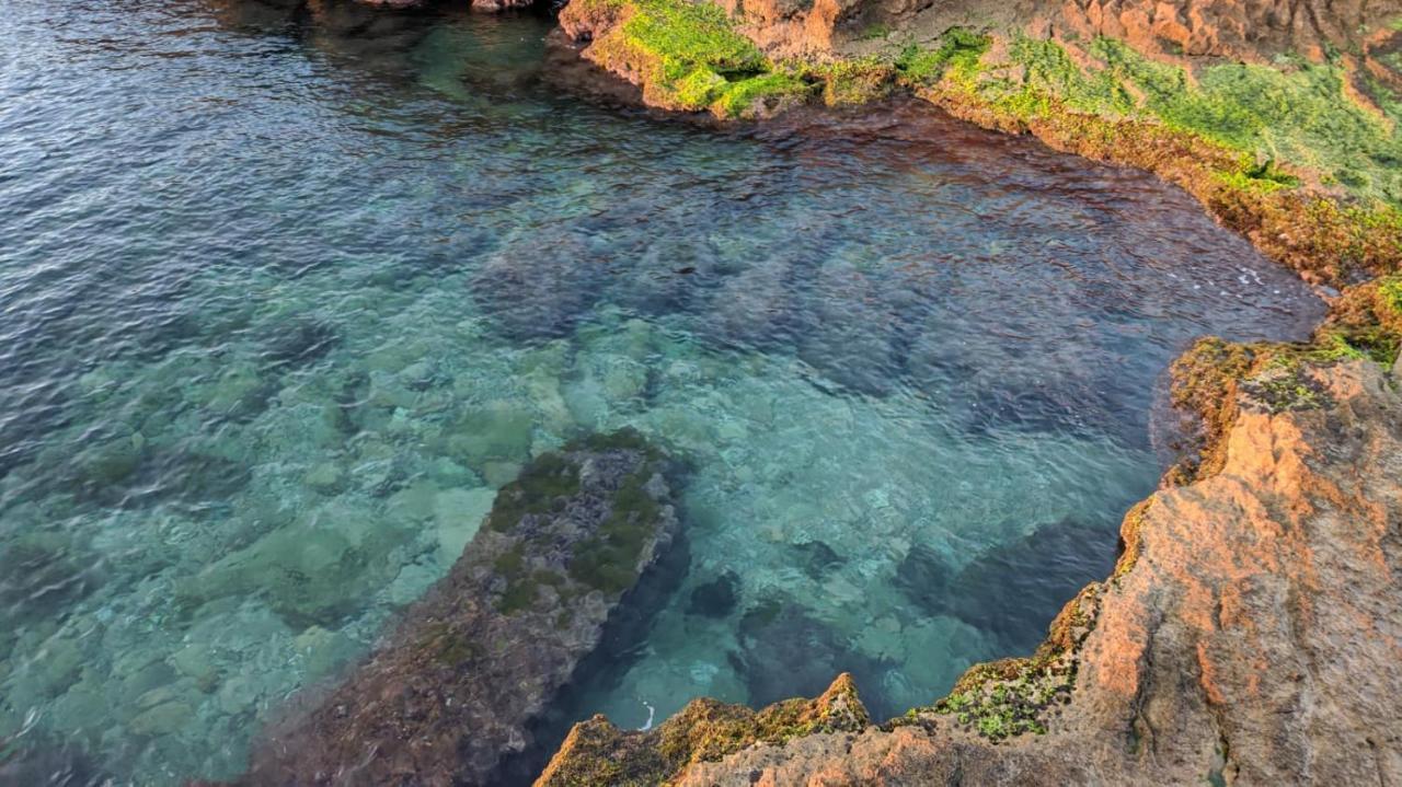 100 Mt Playa De Los Locos تورّيفيِخا المظهر الخارجي الصورة